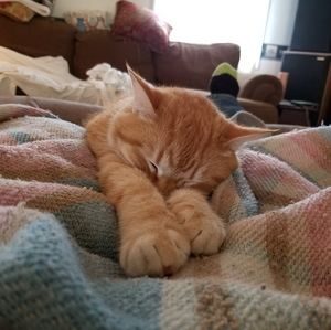 Meet your Posher, Tracy